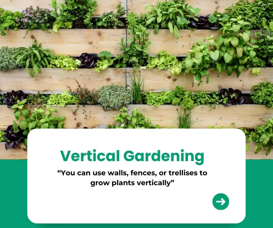 Vertical gardening is one of my favorite solutions for urban homes. This image shows how even a simple wall can become a lush, productive green space, perfect for growing herbs, flowers, or just adding a stunning natural feature to your home.