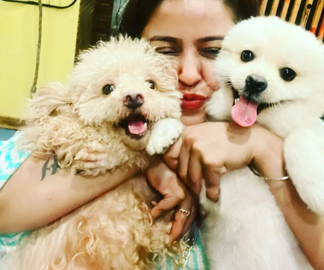 For me, it's not just a business, it's a life full of love. I get to cuddle these adorable babies all day. This is me with two of my happy guests, who are all smiles after a fun day of play.