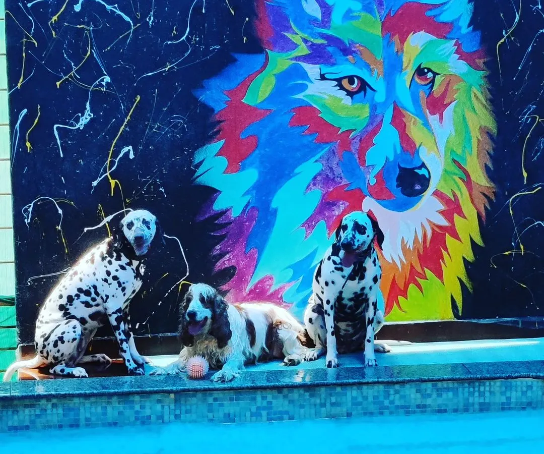 We love having the whole squad over! Here are Joy, Olive, and Sophie posing like superstars in front of our custom graffiti wall after a refreshing swim. Our space welcomes dogs of all breeds for playdates and parties.