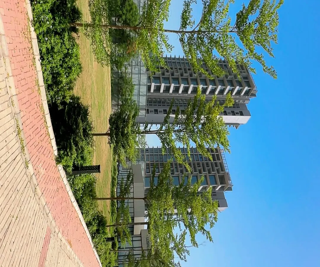 This is a section of a large corporate landscaping project for Adani Realty in Gurugram. I focus on selecting trees that complement modern architecture and create a welcoming green corridor for employees and visitors.