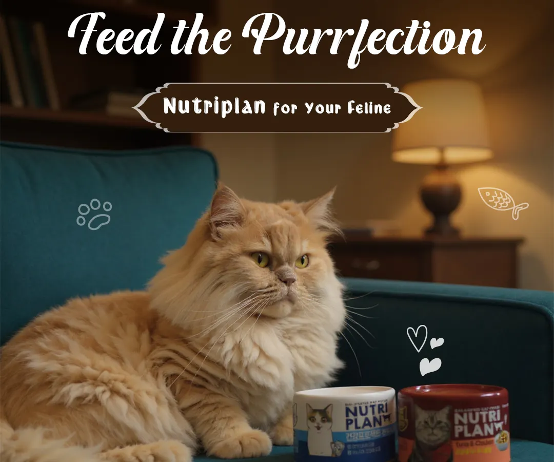 I'm so excited to offer this premium wet food for our feline friends. Nutriplan is crafted in Korea with fresh, high-quality tuna, and it's rich in taurine to support your cat's heart and vision. It's a delicious, healthy meal that shows your cat just how much you care.