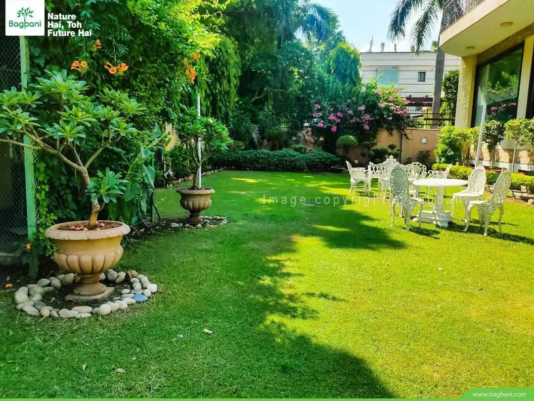 A glimpse into a sprawling, perfectly manicured lawn we designed and maintain. We handle large-scale landscaping projects, creating serene outdoor spaces with healthy grass, mature trees, and elegant seating areas for homes in Delhi.