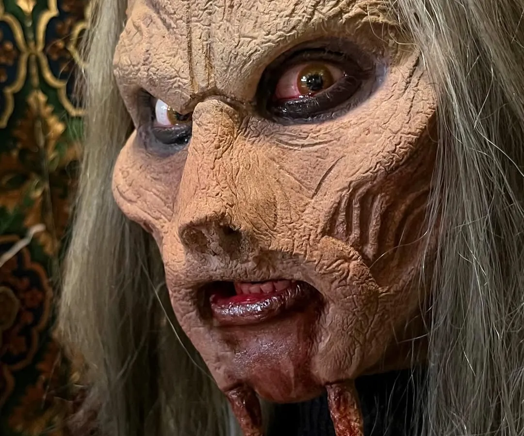 Welcome to the world of special effects. Our advanced prosthetics course teaches you to bring creatures like this to life, covering everything from initial design and sculpting to the final application and coloring for film and television.