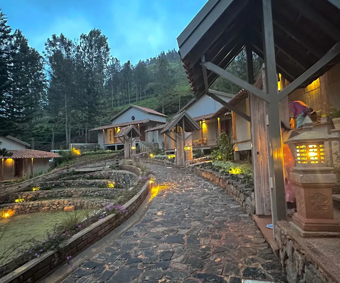 The TARA resort at dusk, where carefully considered lighting highlights the new architectural forms and natural textures. We designed the pathways and structures to create a sense of discovery and privacy, crafting an immersive experience where the building settles quietly into the landscape.