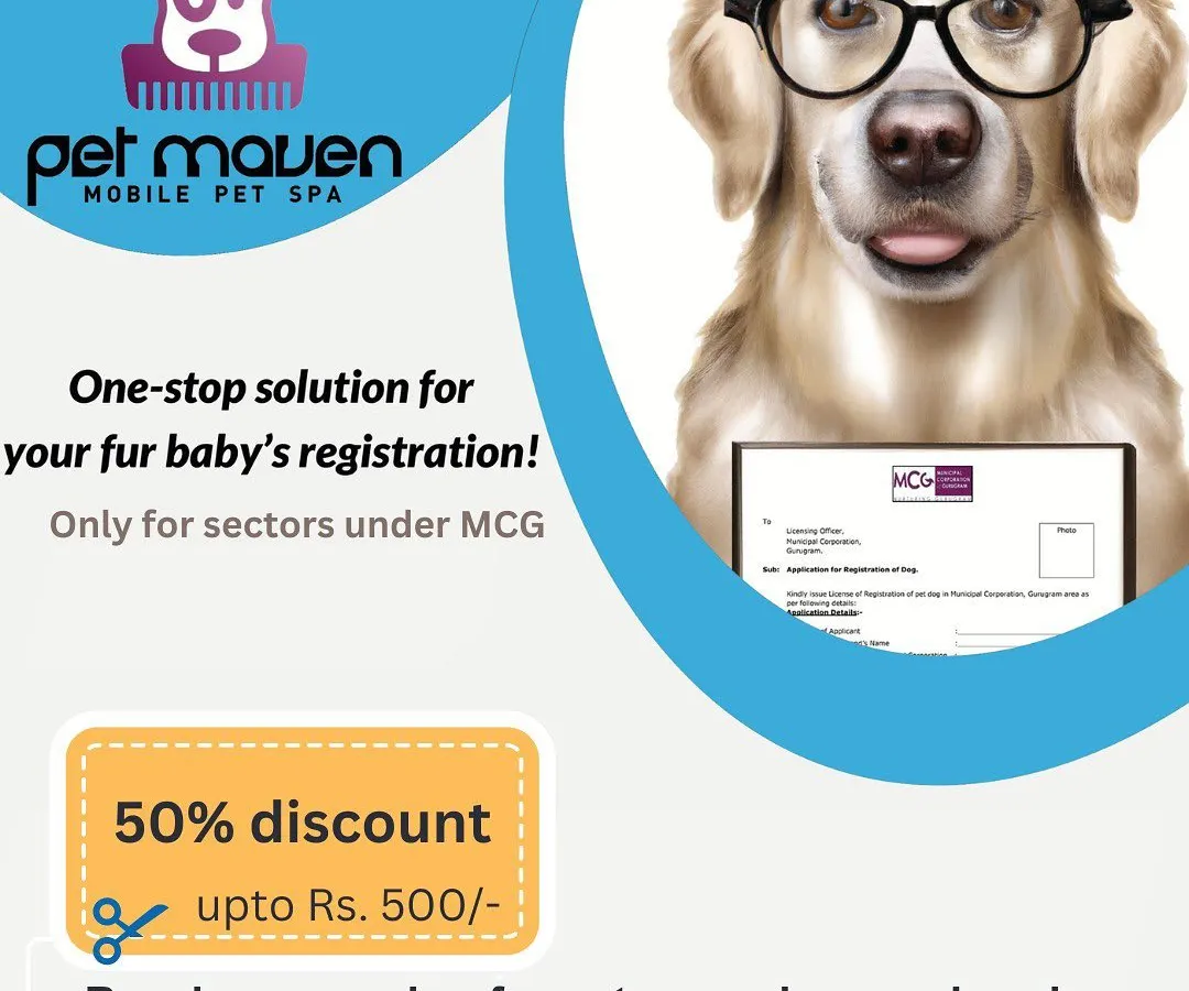 As a thank you for being a responsible pet parent, we offer a special bonus. Once your fur baby's MCG registration is complete, you'll receive a voucher for 50% off our mobile pet grooming services.