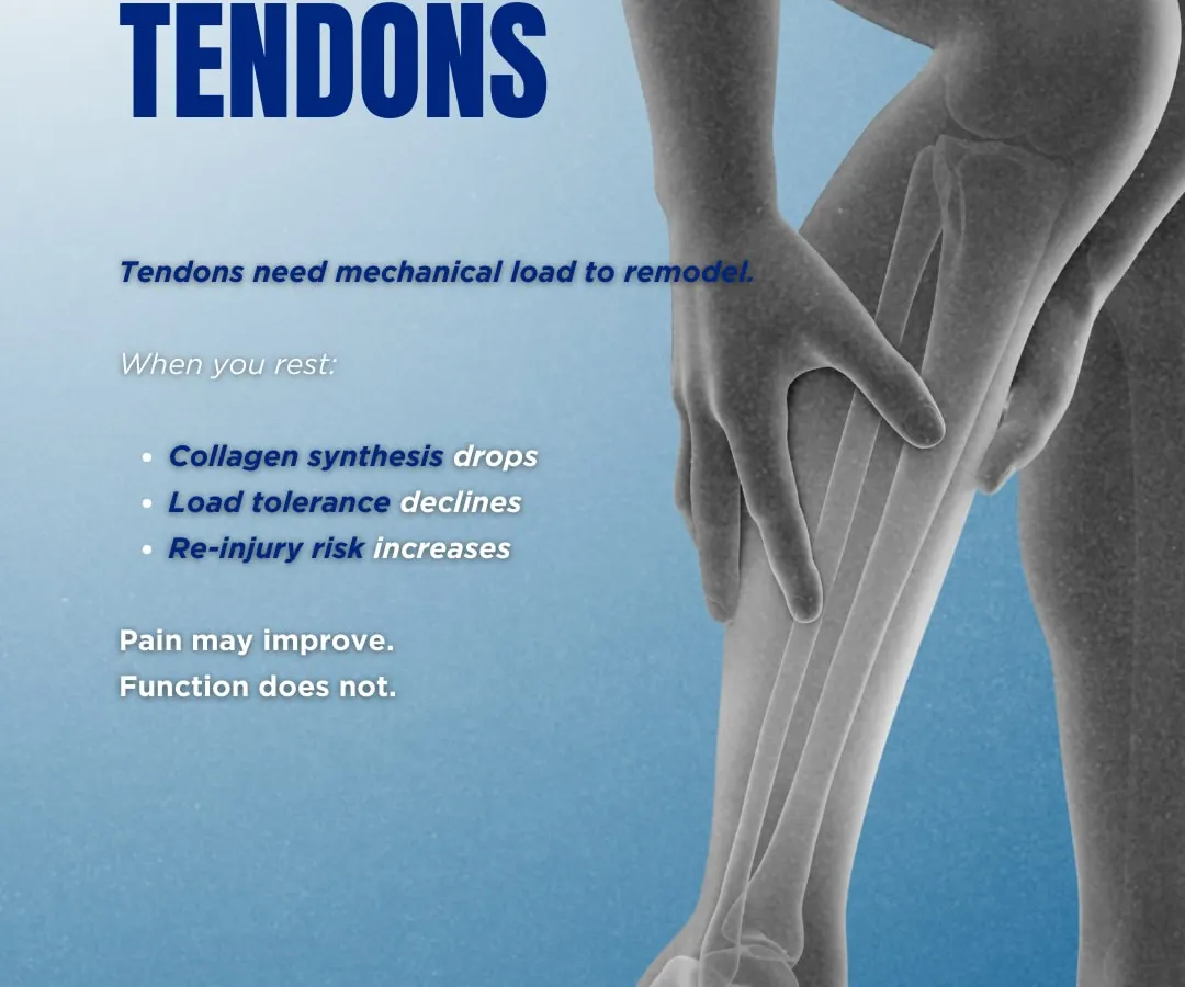 This infographic challenges a common myth and establishes our core philosophy: rest does not fix tendons, correct loading does. We treat tendinopathy not as inflammation but as a load management failure. Our approach focuses on rebuilding the tendon's capacity through progressive, science-backed protocols, ensuring function is restored, not just pain is masked.