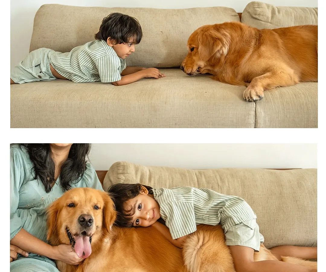 A boy and his best friend. This collage shows the beautiful, evolving bond between Sumer and his golden retriever, Ziggy. From quiet gazes to sleepy cuddles, this is what family looks like.