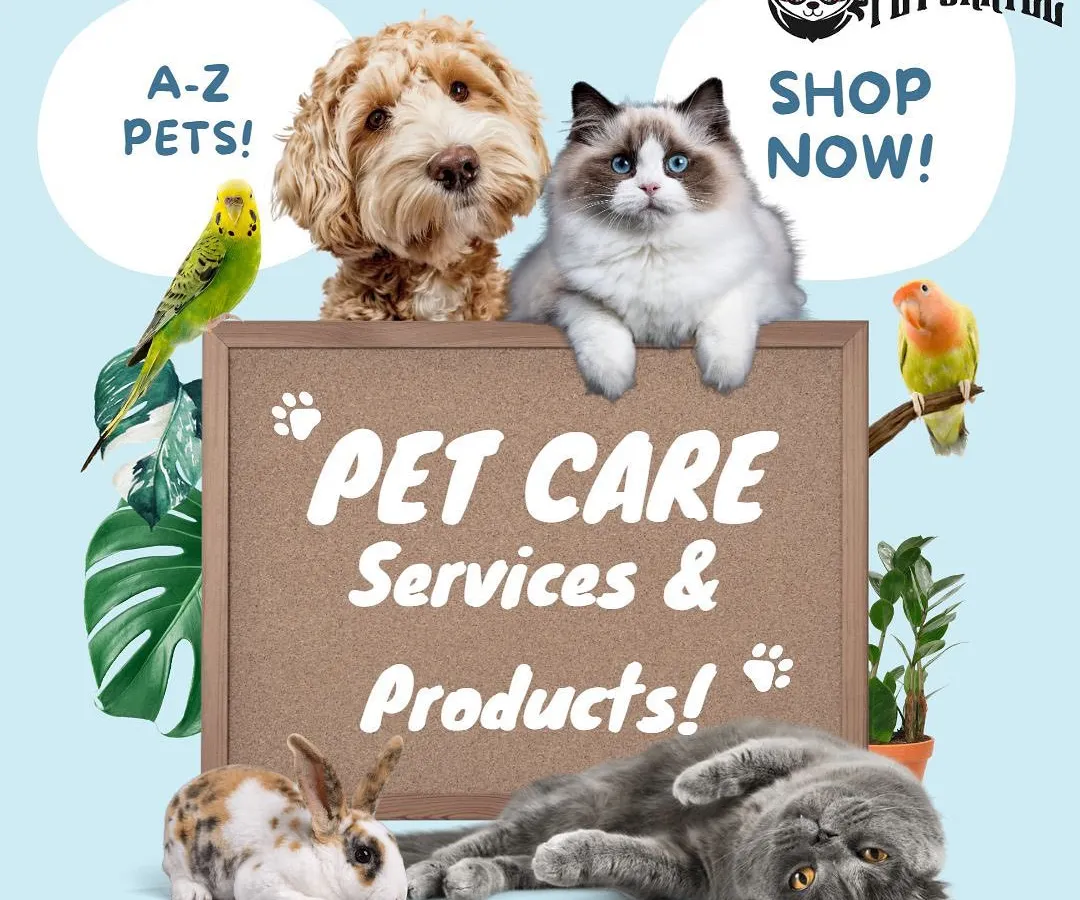My services cover everything your pet might need. From dogs and cats to birds and bunnies, I offer a complete range of pet care services and products, including professional mobile grooming, to keep them happy and healthy.