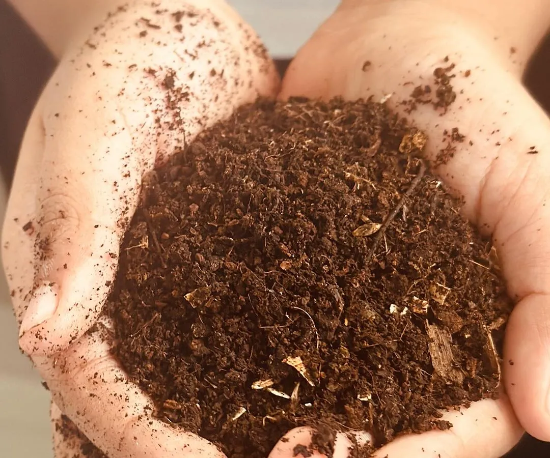 This is what we call 'Black Gold'. It is the rich, dark, nutrient-packed compost that you get after a few weeks of adding your kitchen scraps to our composter. Holding this in your hands is a feeling of pure satisfaction, knowing you have turned your waste into something that gives back to the earth.