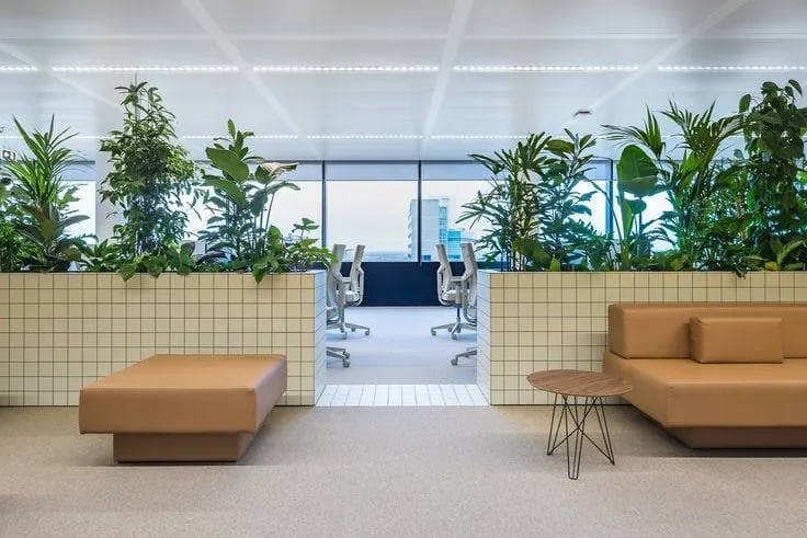 We can transform a standard office into a vibrant and healthy workspace. Here, we integrated lush greenery into custom tiled planters, using plants as natural dividers to create a calmer, more productive atmosphere for the team.