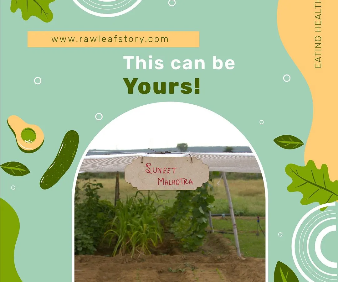 This can be your family's own green space at our farm in Gurugram. We put your name on it because we want you to feel a real sense of ownership and pride as you watch your organic vegetables grow.