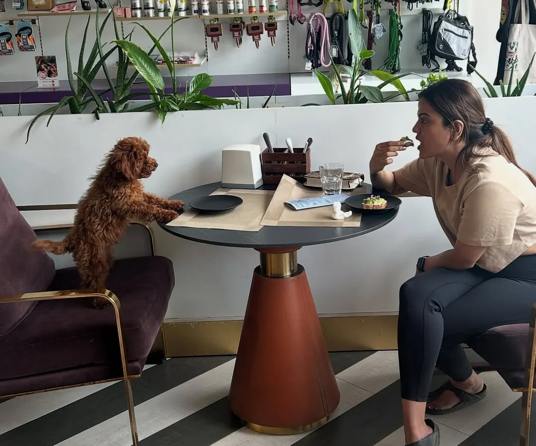 This is what pet-first dining looks like. We create moments where you can share a meal and make memories with your best furry friend, complete with comfortable seating and a welcoming atmosphere for everyone.