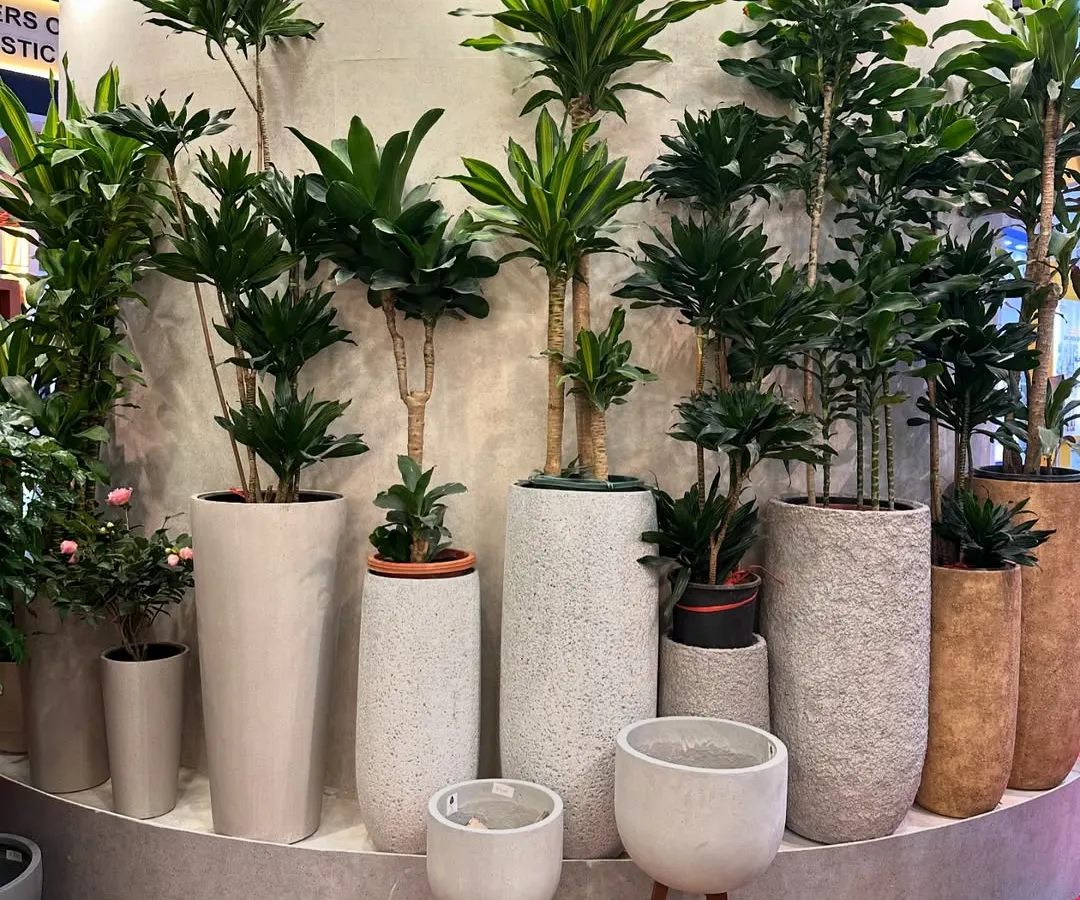 My studio is filled with options to make a statement. Here's a look at our range of tall, exotic Dracaena plants, each paired with a designer planter to show you the possibilities for filling vertical space in your home or office.