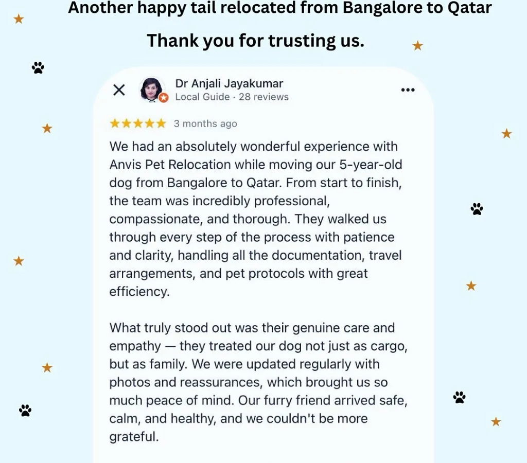 We are so grateful for the trust families place in us. This review from a client whose 5-year-old dog we relocated from Bangalore to Qatar highlights our core belief: pets are family, not cargo. We manage all documentation and travel arrangements with the care and empathy your pet deserves.