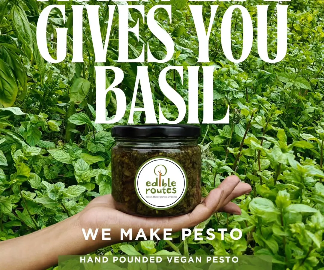 When my farm gives me an abundance of fresh basil, I make this hand-pounded vegan pesto. It’s a simple, flavourful paste made with ingredients grown right on our terrace garden at Select Citywalk.