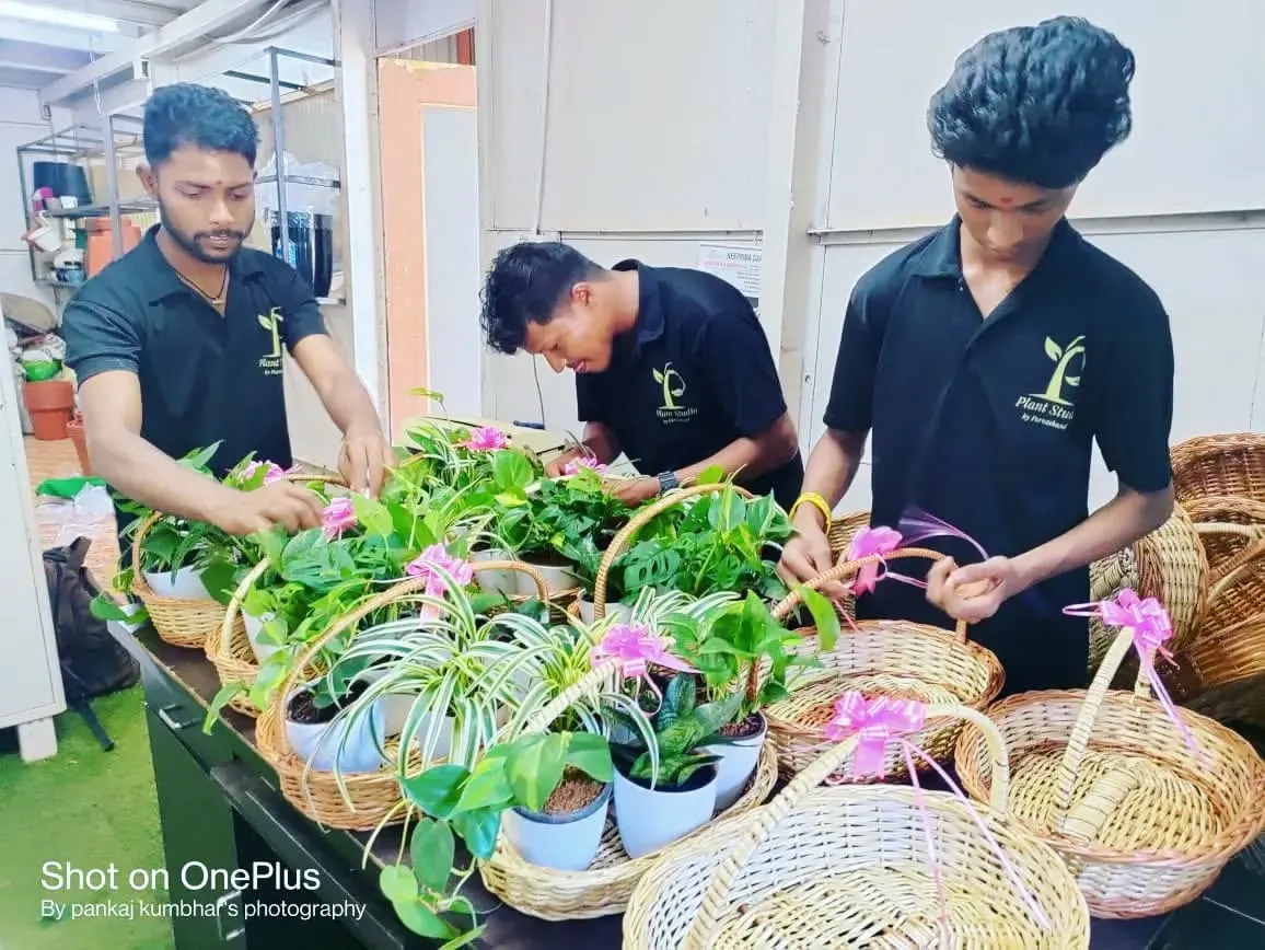 My hardworking team is the heart of Plant Studio. Here they are, carefully preparing beautiful plant hampers for a large Diwali order, ensuring every gift is perfect and delivered on time.