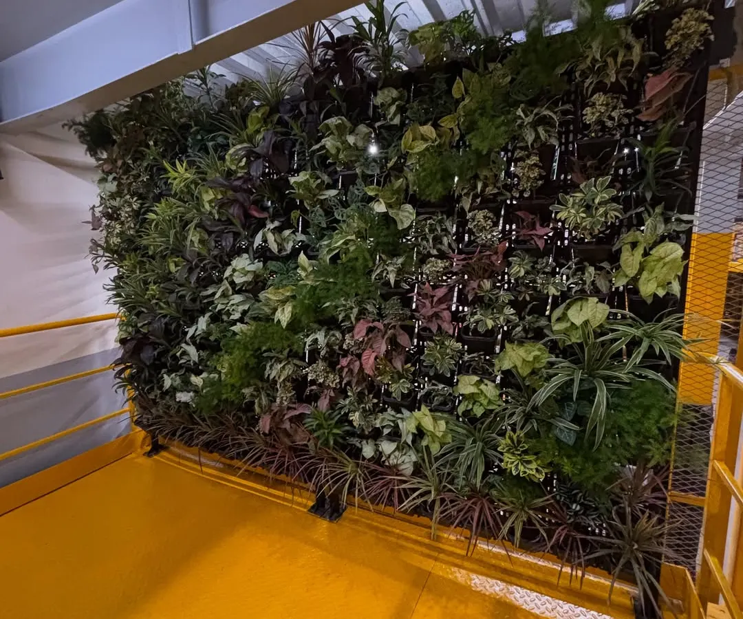 I handle large-scale projects like this massive vertical garden for the Amazon warehouse in Delhi. These living walls are not just visually impressive; they also improve air quality, making them ideal for corporate offices and commercial spaces.