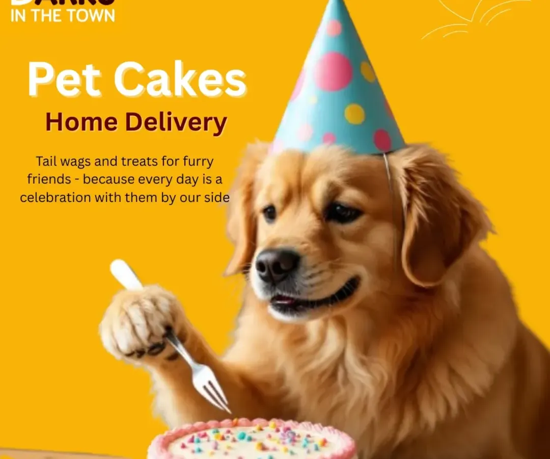 Celebrate your pet's special day with a custom cake made from safe, delicious ingredients. I offer home delivery to make your furry friend's birthday or gotcha-day celebration effortless and memorable.