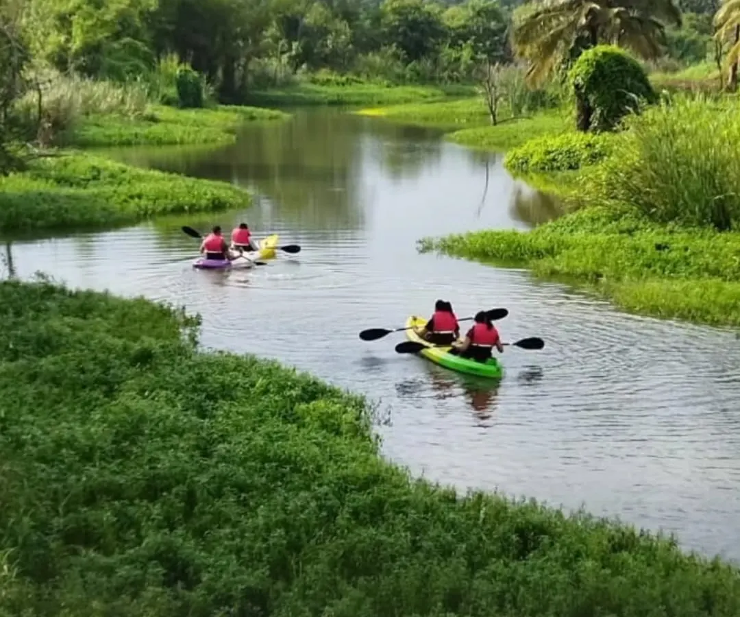 Find your flow on the calm, winding river. Our kayaking adventures are perfect for a peaceful escape, allowing you to paddle at your own pace and soak in the serene green surroundings.