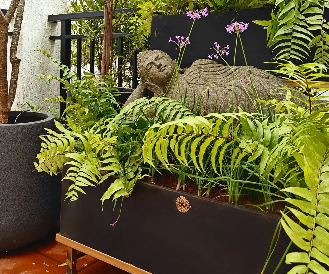 A perfect example of creating a serene balcony retreat. This client has beautifully placed our reclining Buddha statue amidst lush ferns in a modern planter, proving that tranquility can be found in any space.
