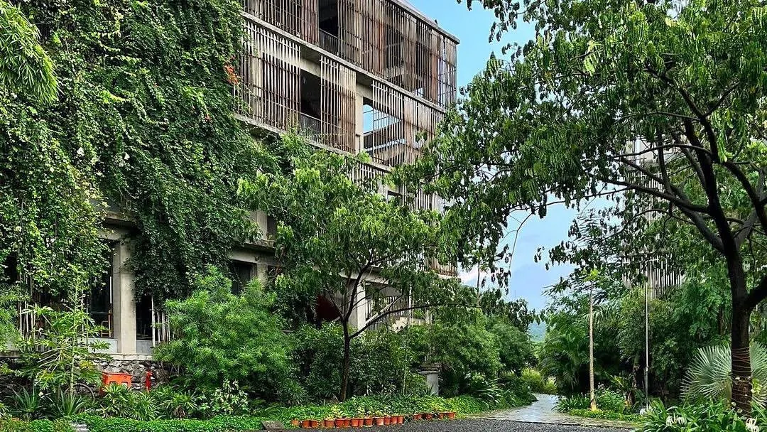 This is the Avasara Academy campus after a few monsoon seasons. It is wonderful to see how the native plants have matured, creating a dense, green sanctuary that envelops the architecture and provides a rich learning environment for the students.