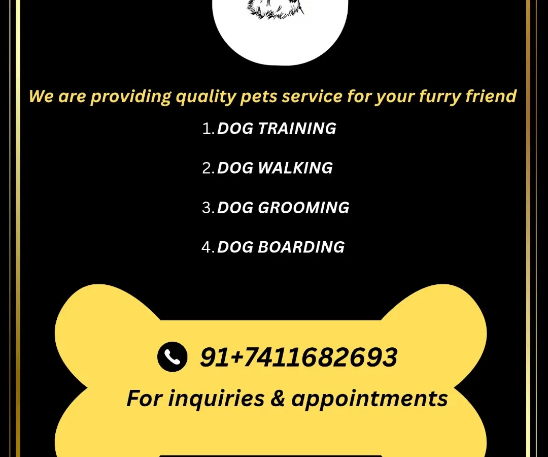 Dog walking is listed on our black-and-yellow pet-care card under the C.P Dog Training and Walking name.