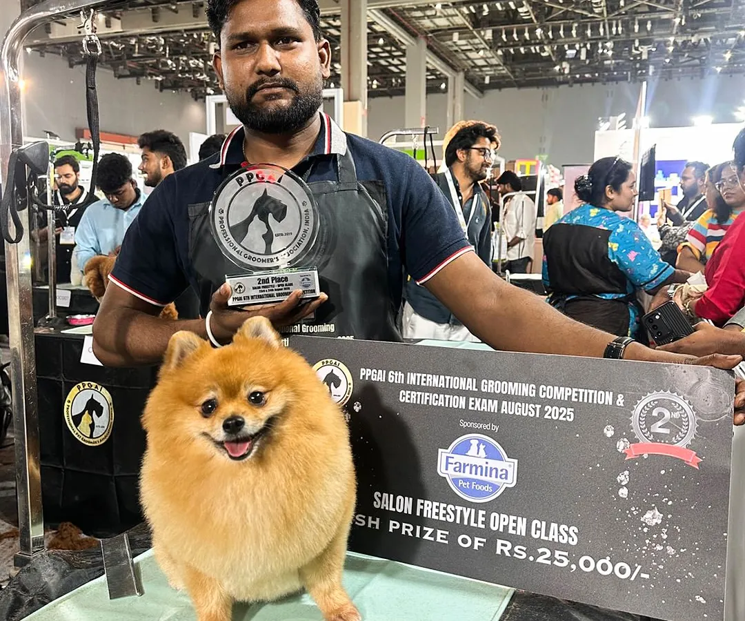 Here is one of our expert groomers with a perfectly styled Pomeranian after winning 2nd place in the Salon Freestyle Open Class. This is the level of award-winning skill and precision we bring to every grooming session.