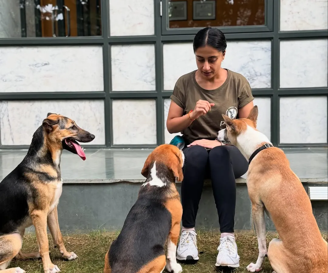 A calm and attentive pack is a happy pack. Here, I'm working with a group of dogs with different breeds and temperaments, including a German Shepherd, Beagle, and two Indies. My approach focuses on creating a balanced mindset, teaching dogs how to coexist peacefully and look to their handler for guidance.