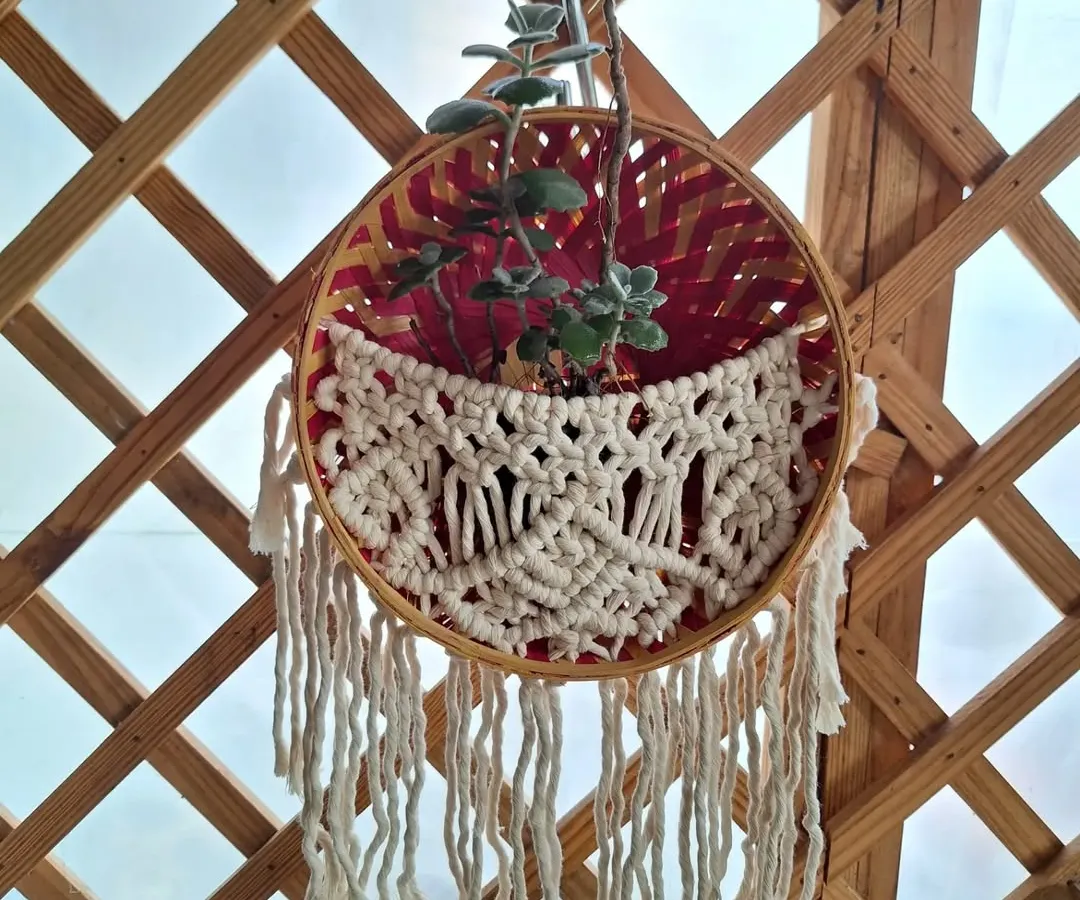 A cozy macrame basket, perfect for giving your favorite little plant a beautiful place to hang. I made this one with a colorful backing to add a pop of joy.