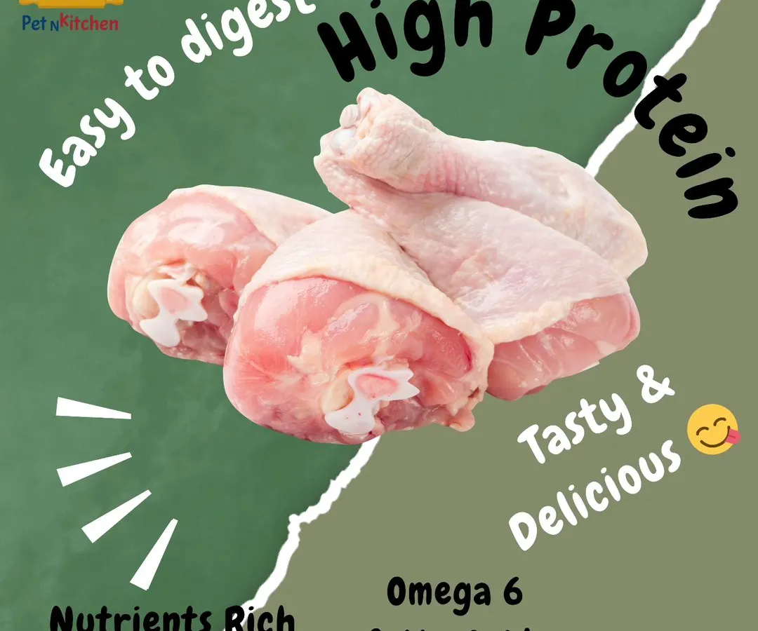 I often get asked why I insist on using real chicken. This graphic breaks it down. It's not just about taste; it's packed with high-quality protein, omega-6 for a healthy coat, and is easy for them to digest. This is the kind of nutrition that processed biscuits or doodh-roti can never provide.