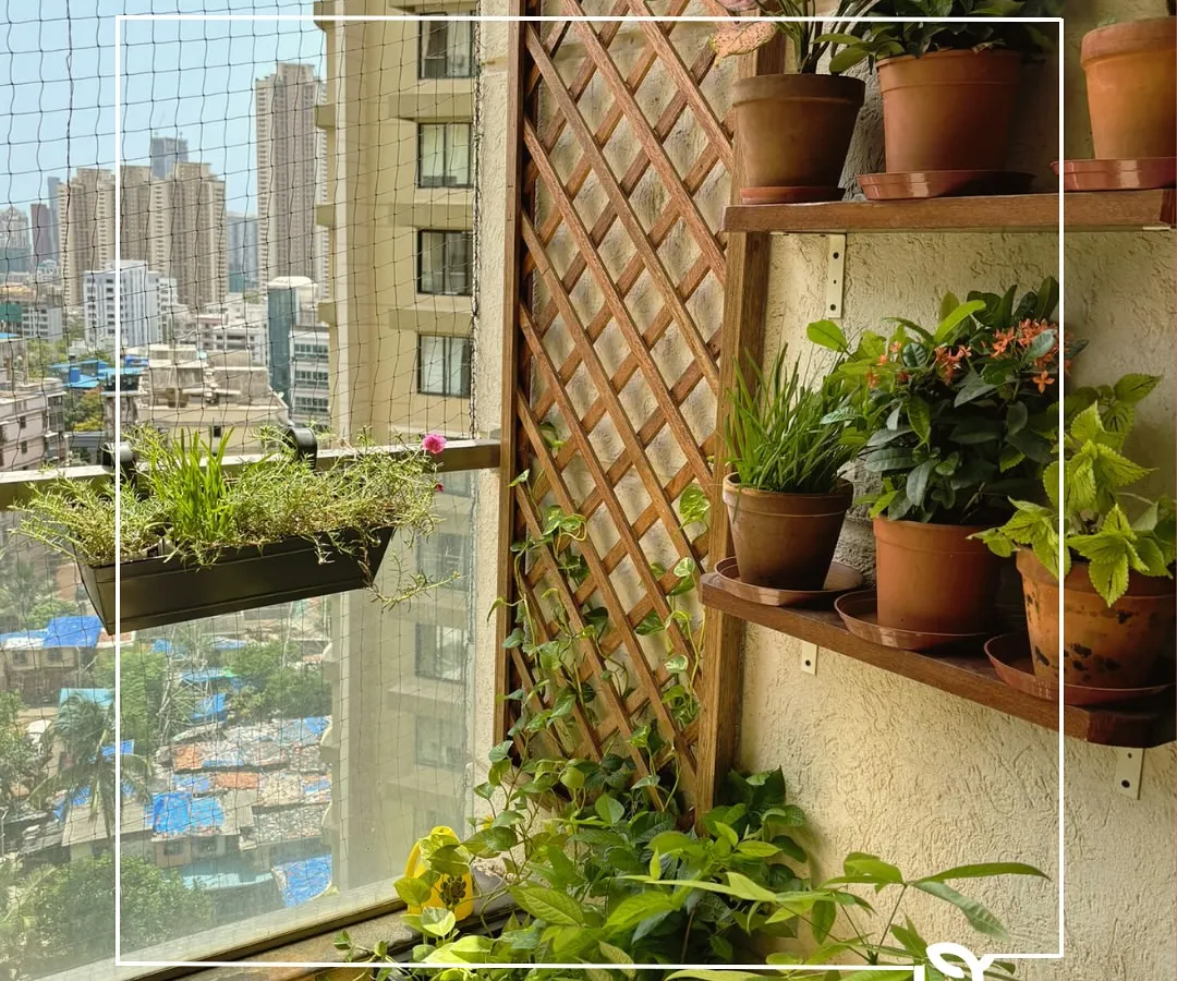 Even a compact city balcony can become a lush, green sanctuary. Here in a Mumbai high-rise, we used a combination of wooden shelving, a trellis for climbing plants, and terracotta pots to create a multi-layered garden that maximizes vertical space and brings nature indoors.