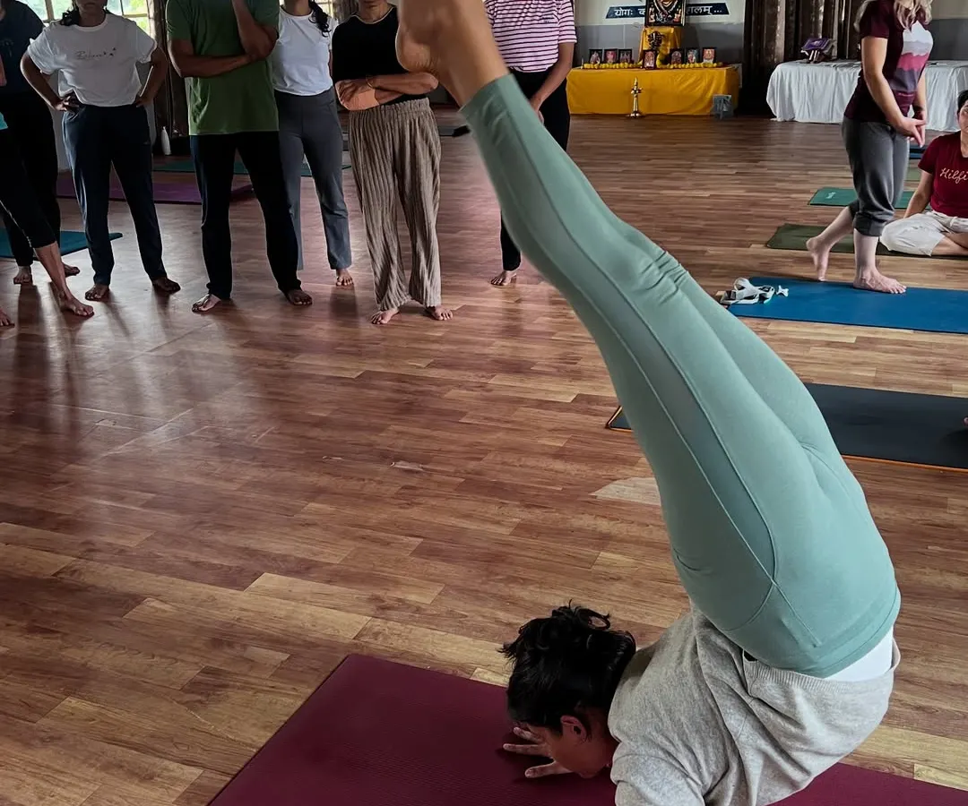 The journey into advanced asanas like Vrischikasana (Scorpion Pose) is one of patience, strength, and discipline. In our 300-Hour course, we guide you safely into these challenging postures.