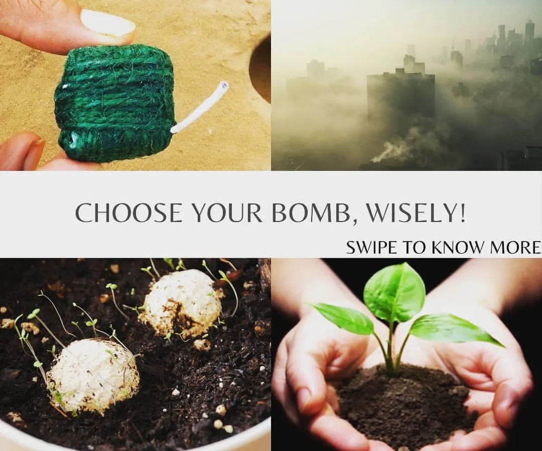 We offer a solution, not more pollution. This visual compares a traditional firecracker with our Green Bombs, which are seed balls that grow into plants. It’s a powerful choice for a cleaner, greener celebration.