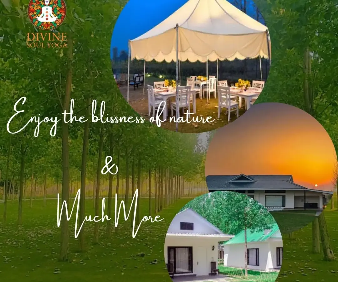 This is the serene setting for your journey inward. Our cozy cottages and outdoor dining tent are nestled in the quiet forests of Hoshiarpur, Punjab, offering a peaceful escape from city life where you can truly connect with nature and yourself.