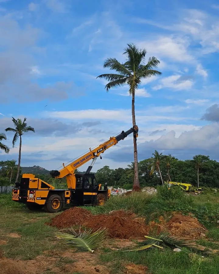 We use heavy-duty cranes to lift and reposition large, mature trees with precision. This image shows the scale of a palm tree transplantation project, ensuring the tree is moved safely to its new location for instant landscape impact.