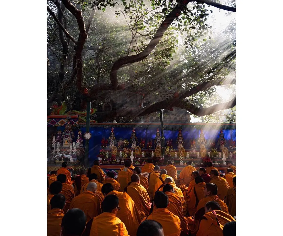 Morning light filters through the sacred Bodhi tree in Bodhgaya, illuminating a gathering of monks. This image captures the serene, disciplined energy I seek to document, where light and devotion create a moment of pure peace.