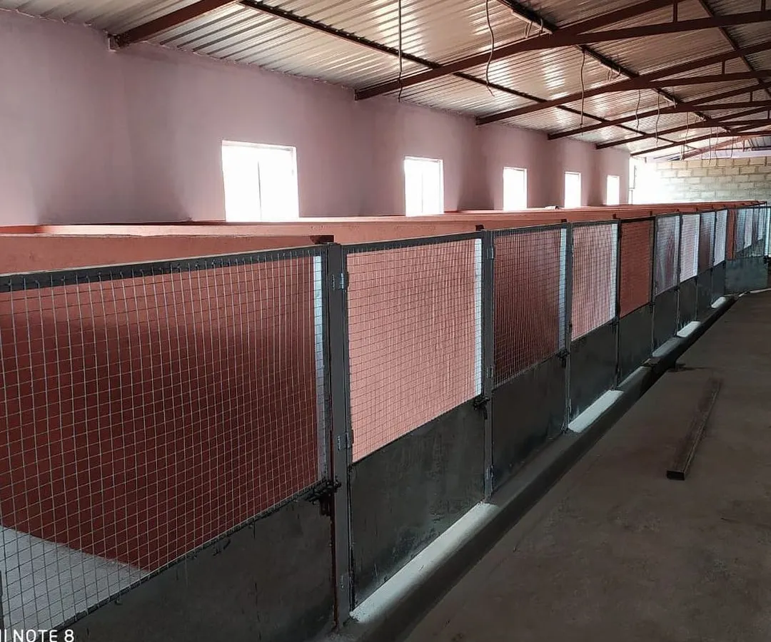 We proudly offer some of the largest dog kennels in Bangalore. This wide view shows our clean, spacious, and well-ventilated indoor facility where each dog gets their own private space to rest comfortably.