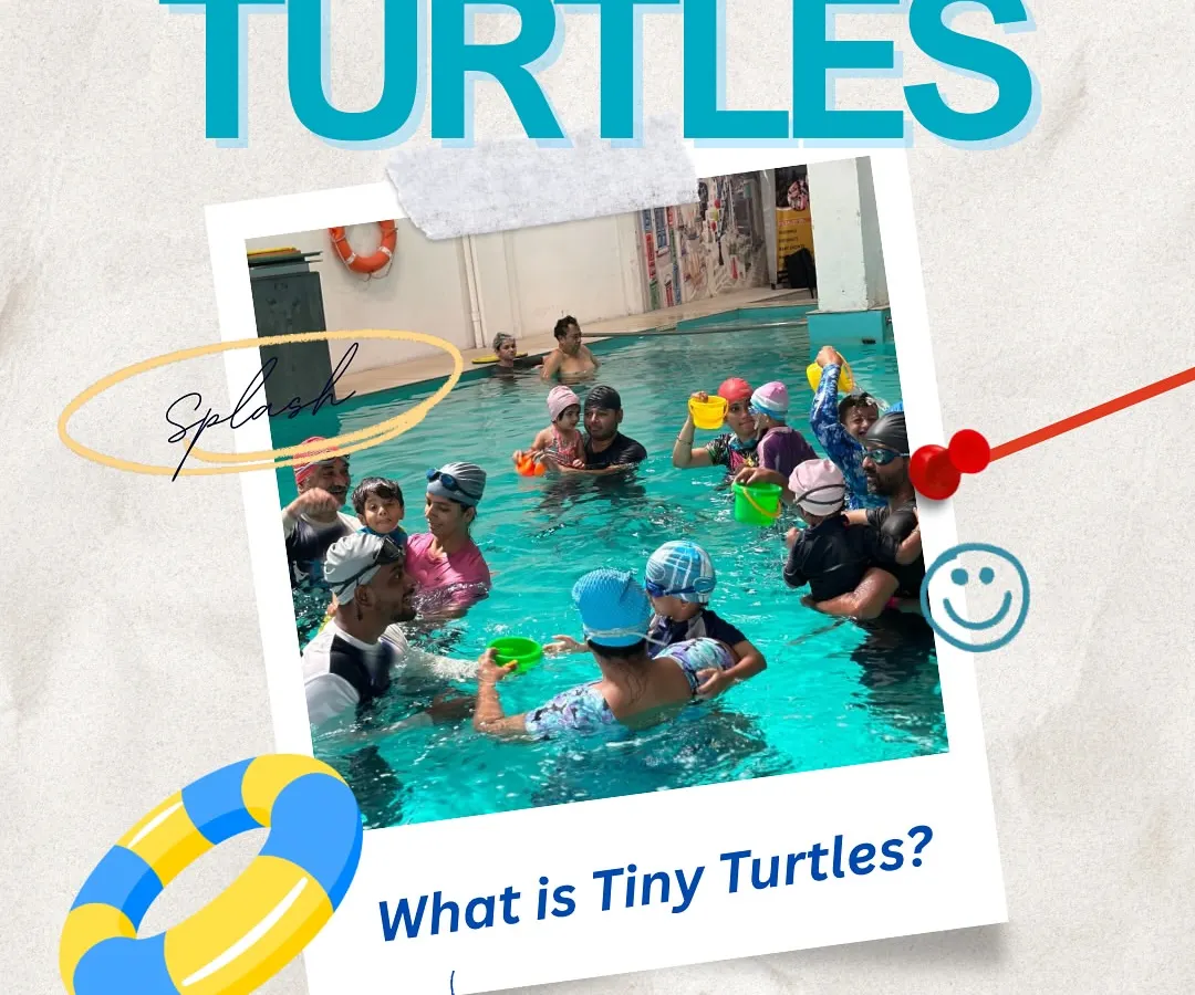 We believe in starting them young. Our 'Tiny Turtles' program is designed for infants from 6 months to 4 years, helping them build water confidence in a safe and playful environment.