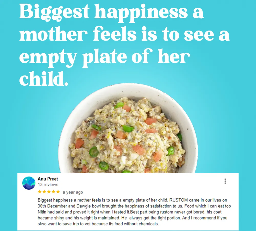 This review from a fellow pet parent truly touches my heart. 🧡 Seeing your furry child lick the bowl clean is a joy like no other, and it’s the reason I started this journey. We provide food that is so pure, even you can taste it, ensuring your pet never gets bored and their health shines through.