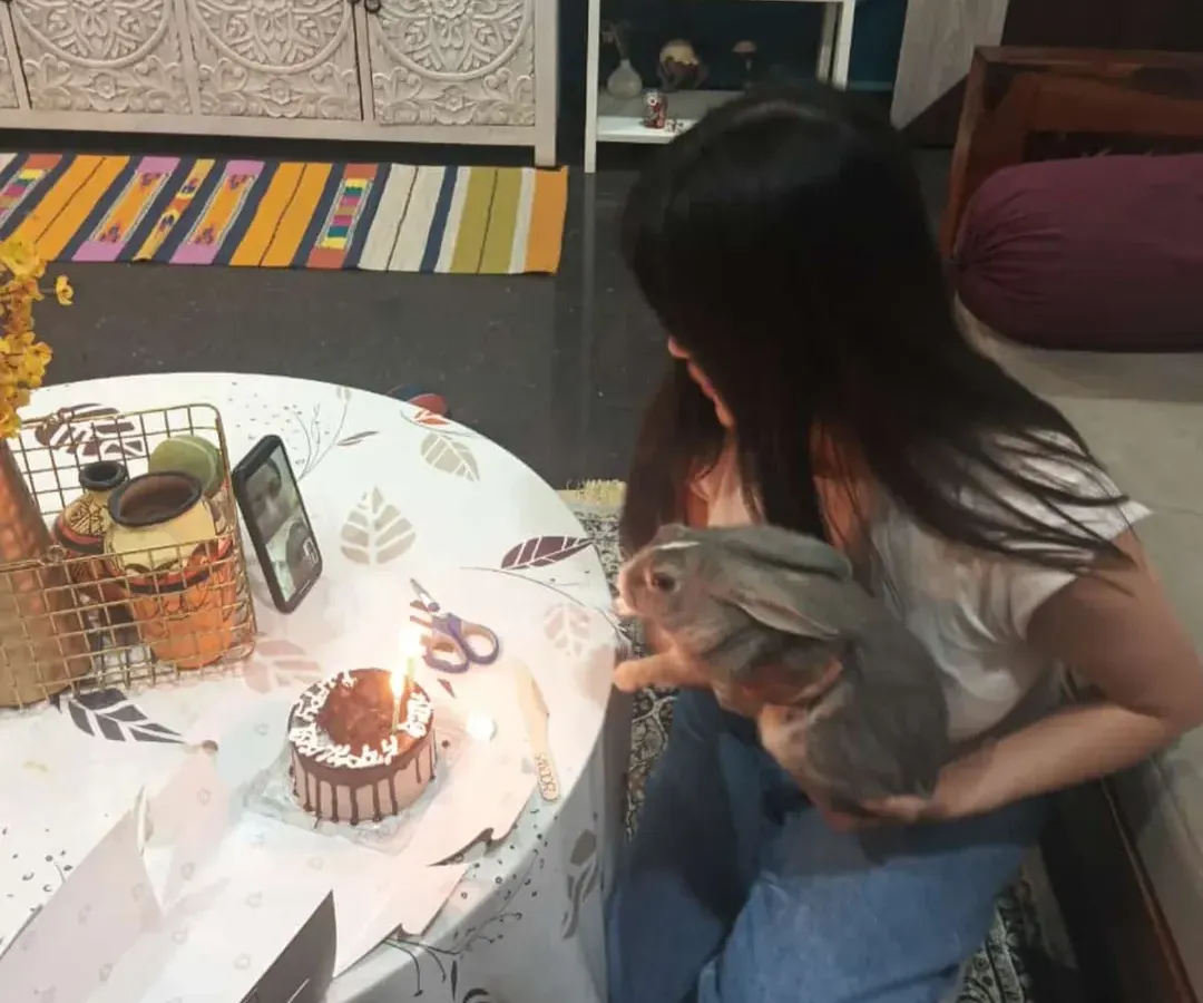 Every pet deserves to feel special, especially on their birthday. Here we are celebrating Billu the rabbit's big day with a special cake and lots of cuddles.