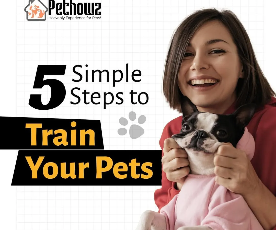 We believe training should be a positive experience for you and your pet. This guide introduces our simple, five-step approach to effective pet training, built on a foundation of trust and clear communication.