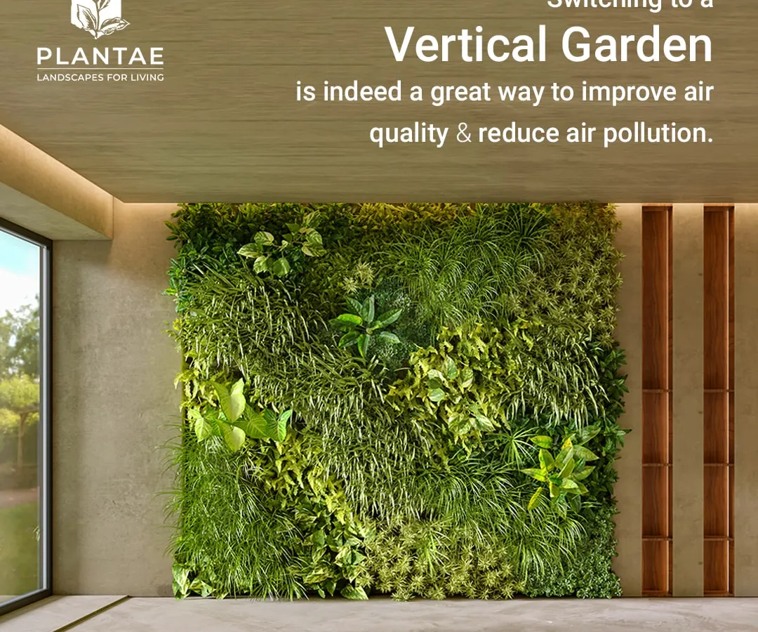 This is how we bring walls to life. An indoor vertical garden, or bio-wall, not only serves as a stunning green art piece but also naturally purifies the air. We design and install these living walls to fit seamlessly into modern homes and offices, creating a healthier and more vibrant environment.
