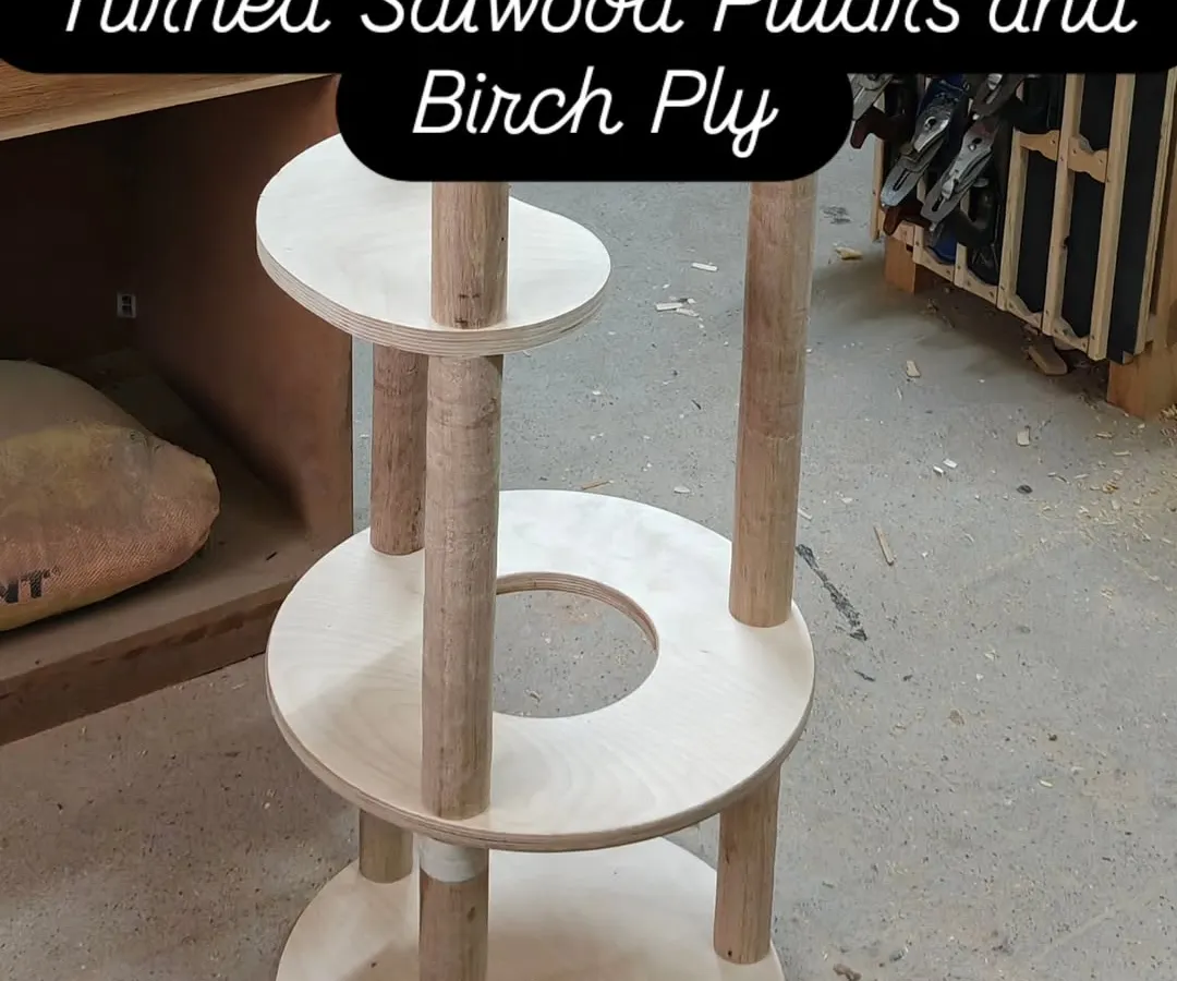 For the discerning feline, a 5-level cat tree built with sturdy turned Salwood pillars and smooth Birch plywood. This isn't just cat furniture; it's a custom-designed play-and-relax tower made to last.