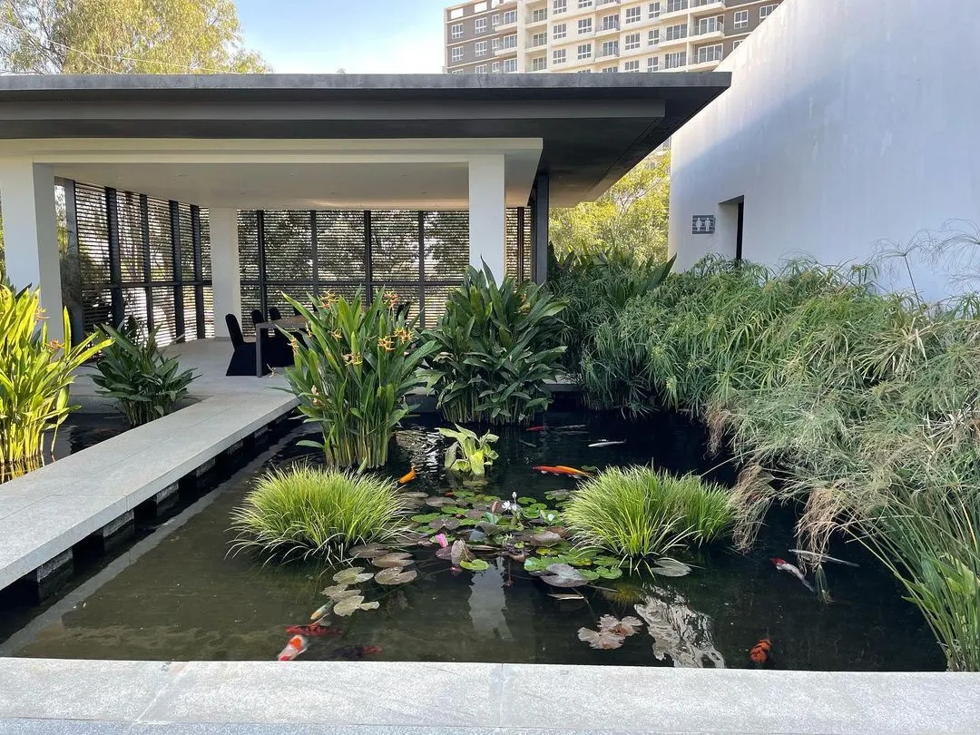 I designed this tranquil koi pond for a luxury property, focusing on creating a serene escape. The design incorporates aquatic plants like water lilies and marginal grasses to build a natural ecosystem, while the clear water and carefully selected koi fish provide a calming focal point for residents and visitors.