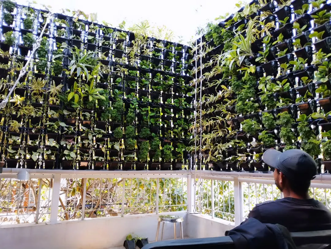 This is the result I aim for: a beautiful, green space that you can truly enjoy. Here, a client relaxes on their balcony, now a private retreat thanks to the lush vertical garden we installed. It’s not just about plants; it’s about creating a better living environment.