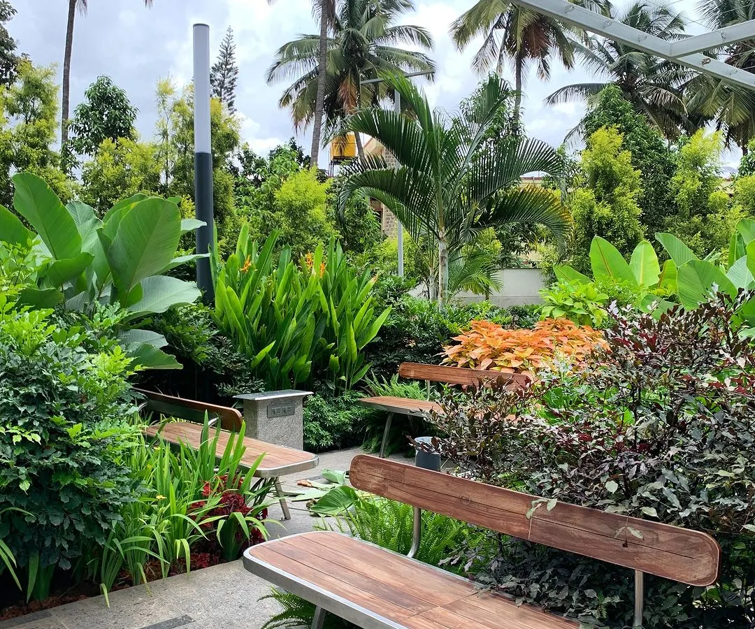 We transformed this corporate campus into an eco-friendly garden with playful seating nooks. It's now a space where employees can connect, relax, and find a moment of calm during their workday.