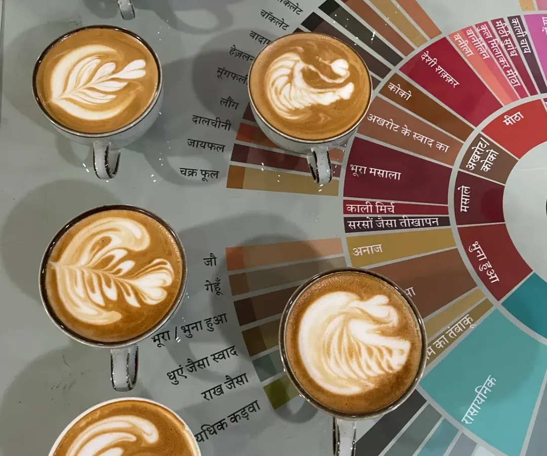 This is what we work towards. A collection of lattes, each with its own design, poured during one of our workshops. We focus on the basics of milk steaming and pouring to help you create your own art, right on top of our custom Hindi flavor wheel.