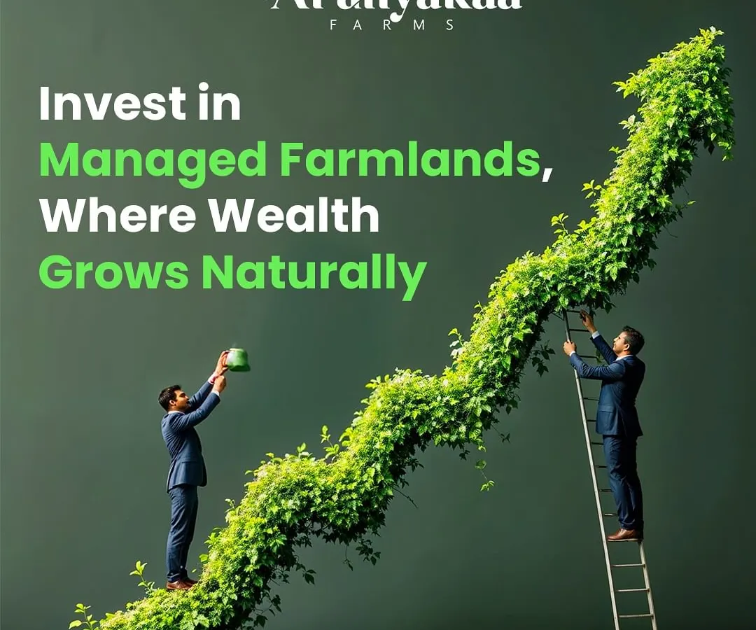 We believe that true wealth grows naturally. This visual represents our core philosophy: investing in managed farmlands is a direct investment in sustainable growth. Watch your portfolio flourish alongside nature.