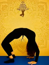 Yoga Instruction