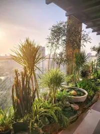 Landscape & Garden Design